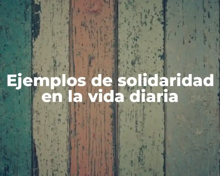 Ejemplos de solidaridad en la vida diaria