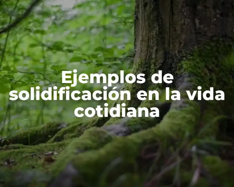 Ejemplos de solidificación en la vida cotidiana