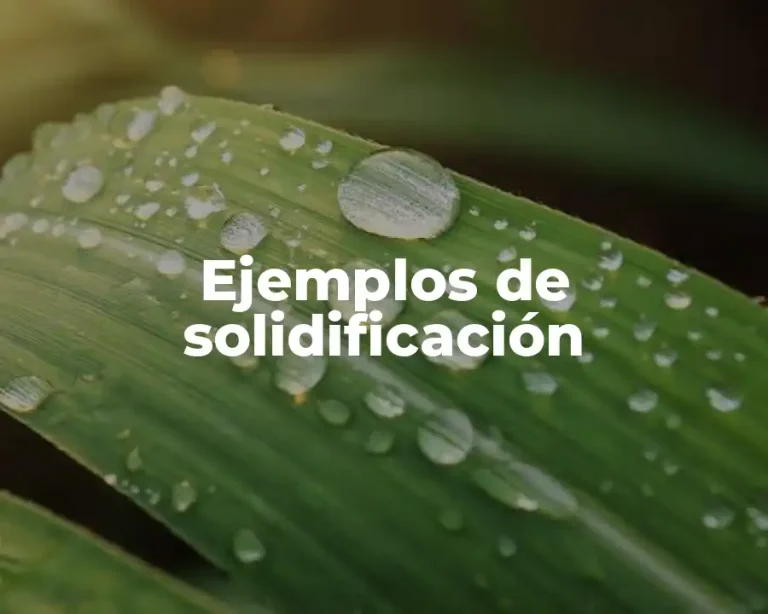 Ejemplos de solidificación
