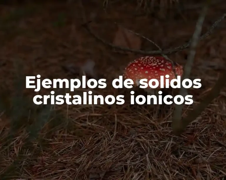 Ejemplos de solidos cristalinos ionicos