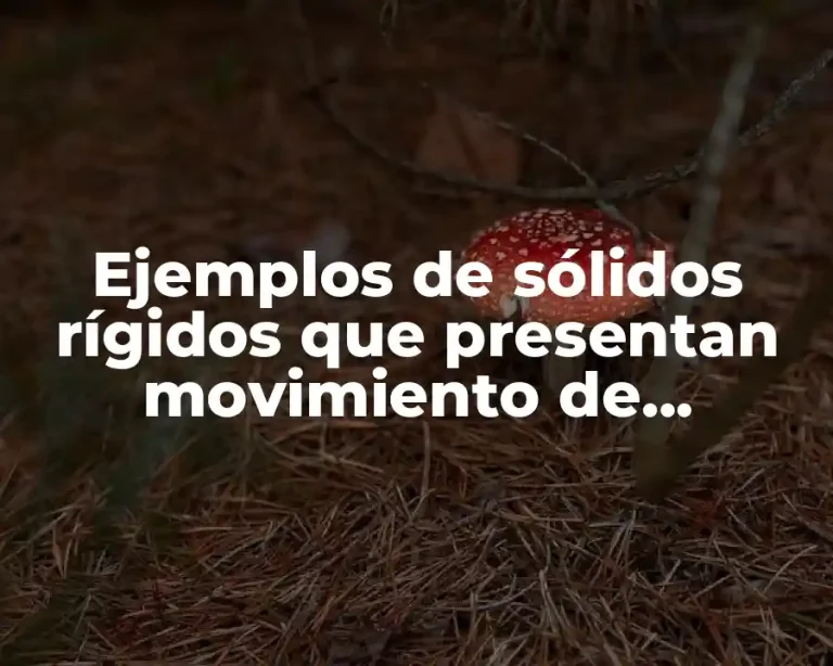 Ejemplos de sólidos rígidos que presentan movimiento de traslación