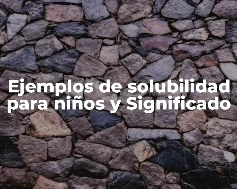 Ejemplos de solubilidad para niños y Significado