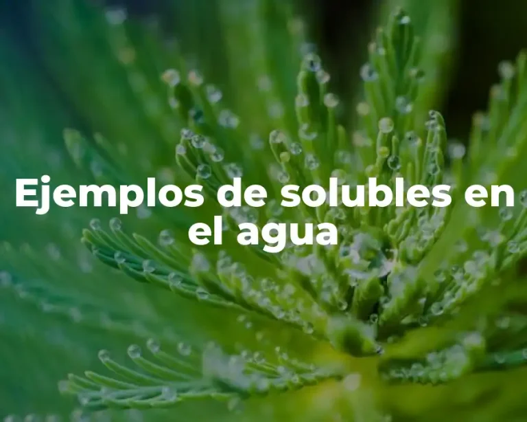 Ejemplos de solubles en el agua