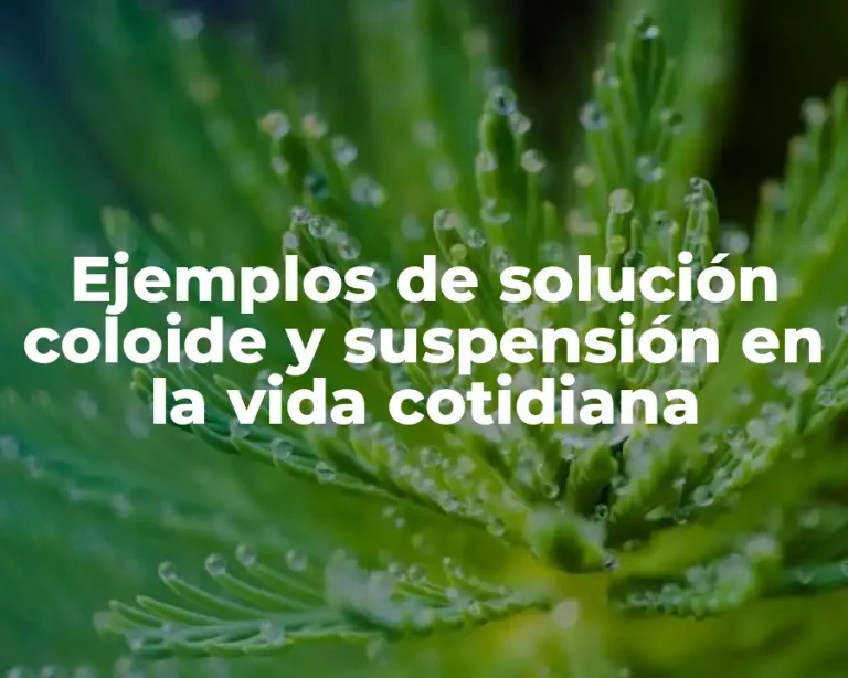 Ejemplos de solución coloide y suspensión en la vida cotidiana