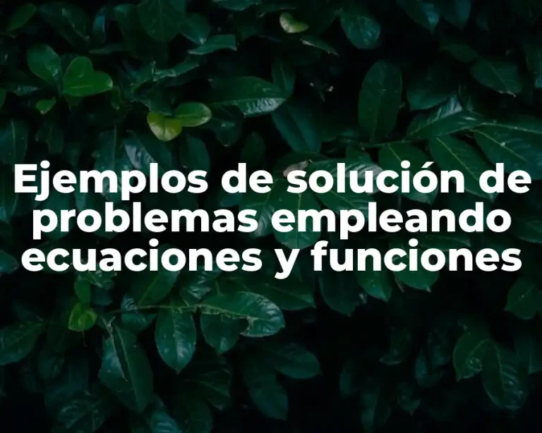 Ejemplos de solución de problemas empleando ecuaciones y funciones
