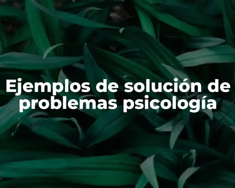Ejemplos de solución de problemas psicología