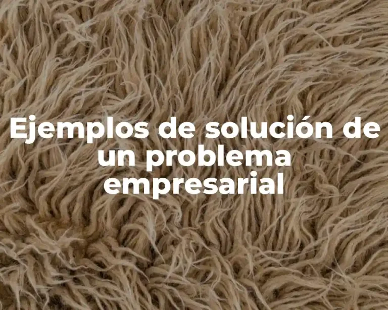 Ejemplos de solución de un problema empresarial