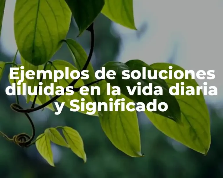Ejemplos de soluciones diluidas en la vida diaria y Significado