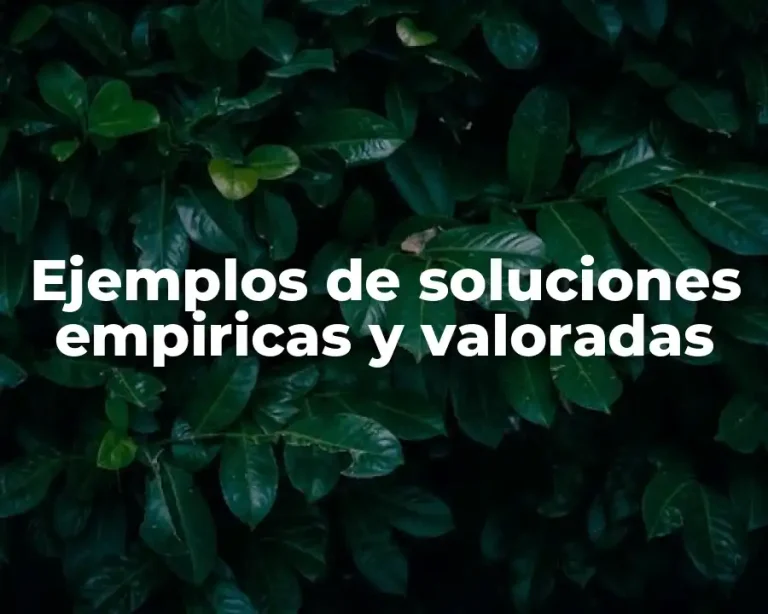 Ejemplos de soluciones empiricas y valoradas