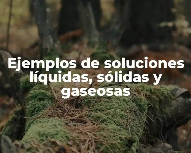 Ejemplos de soluciones líquidas, sólidas y gaseosas