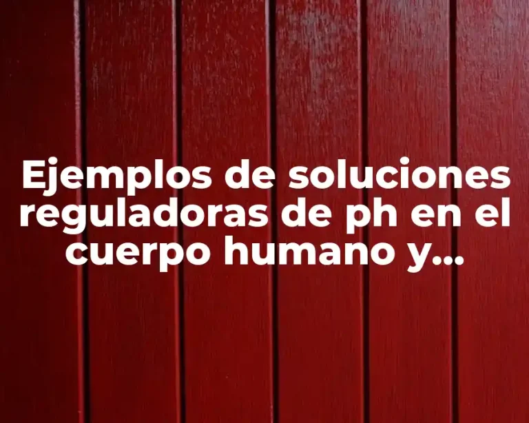 Ejemplos de soluciones reguladoras de ph en el cuerpo humano y Significado