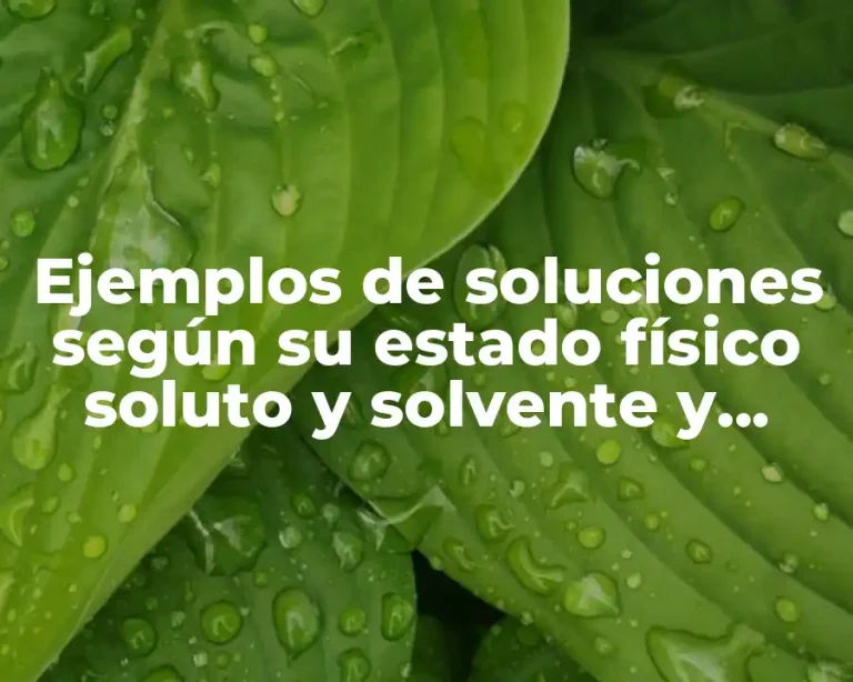 Ejemplos de soluciones según su estado físico soluto y solvente y Significado