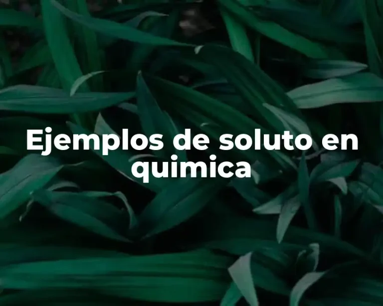 Ejemplos de soluto en quimica