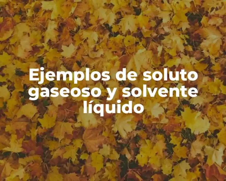 Ejemplos de soluto gaseoso y solvente líquido