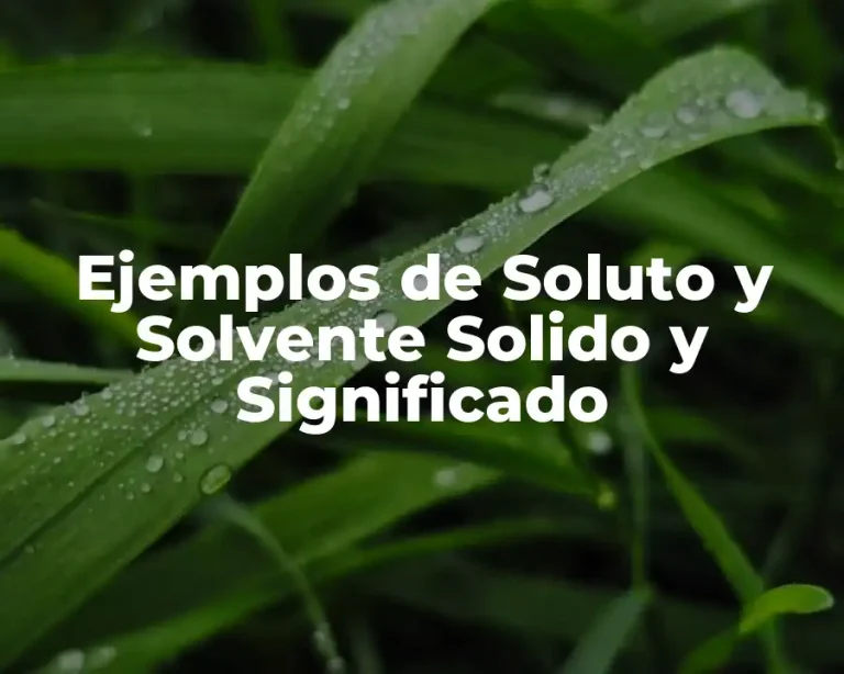 Ejemplos de Soluto y Solvente Solido y Significado