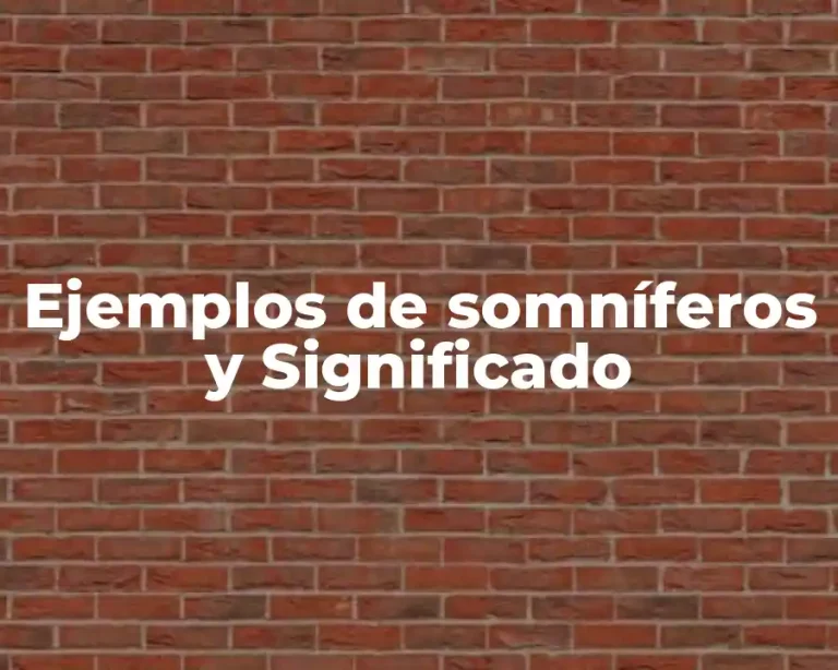 Ejemplos de somníferos y Significado
