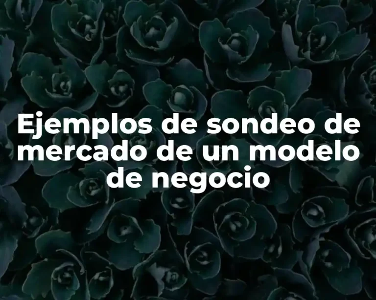 Ejemplos de sondeo de mercado de un modelo de negocio