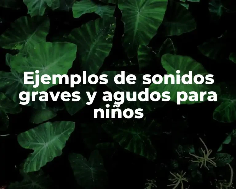 Ejemplos de sonidos graves y agudos para niños