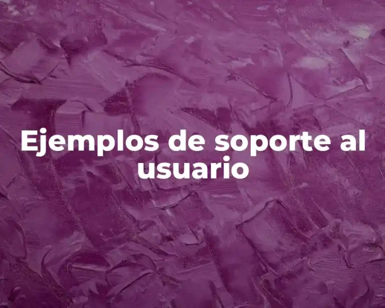 Ejemplos de soporte al usuario