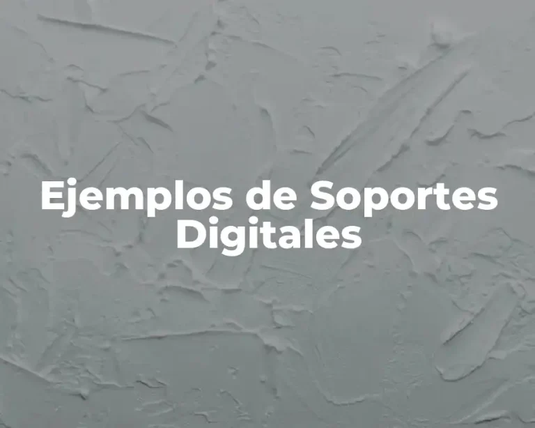 Ejemplos de Soportes Digitales