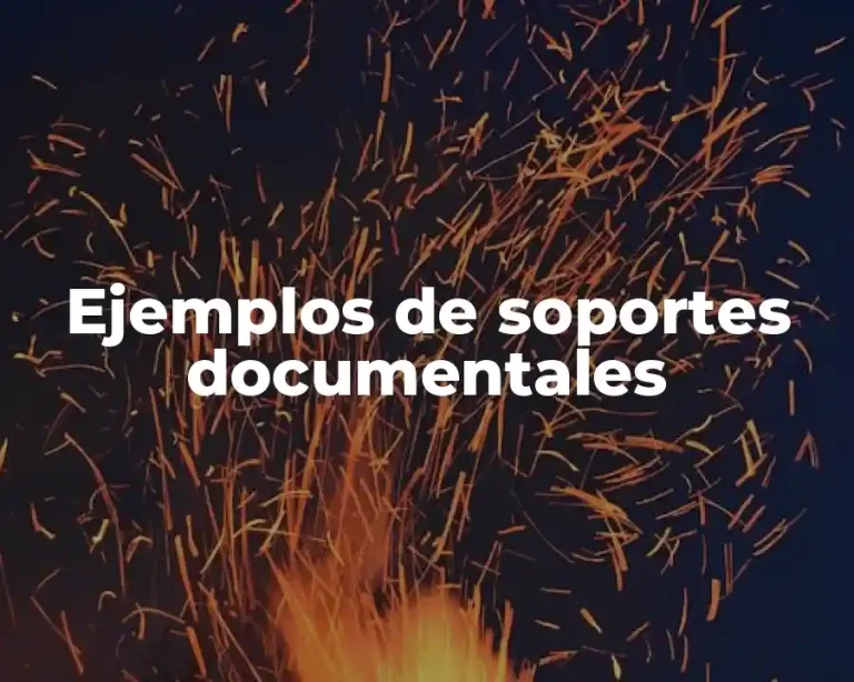 Ejemplos de soportes documentales