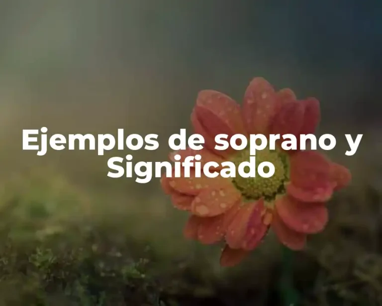 Ejemplos de soprano y Significado