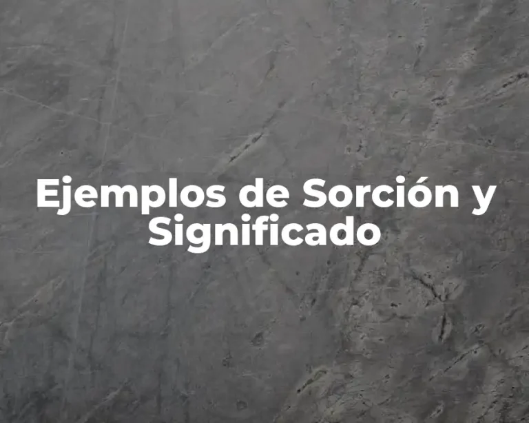 Ejemplos de Sorción y Significado