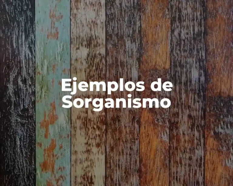 Ejemplos de Sorganismo