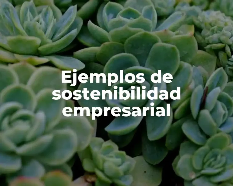 Ejemplos de sostenibilidad empresarial