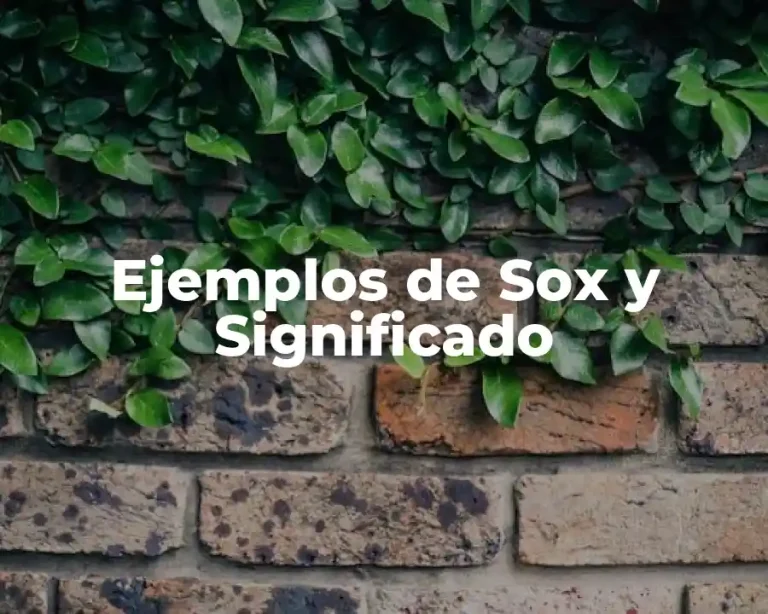Ejemplos de Sox y Significado