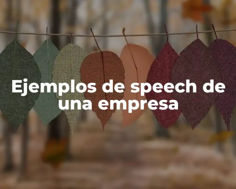 Ejemplos de speech de una empresa