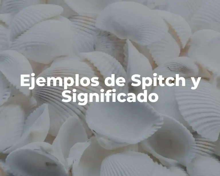 Ejemplos de Spitch y Significado