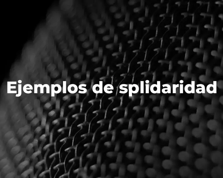 Ejemplos de splidaridad