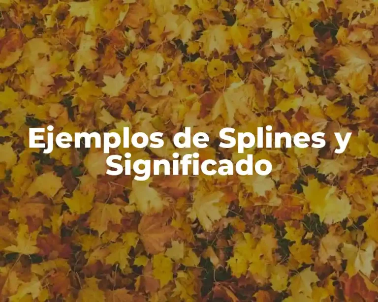Ejemplos de Splines y Significado