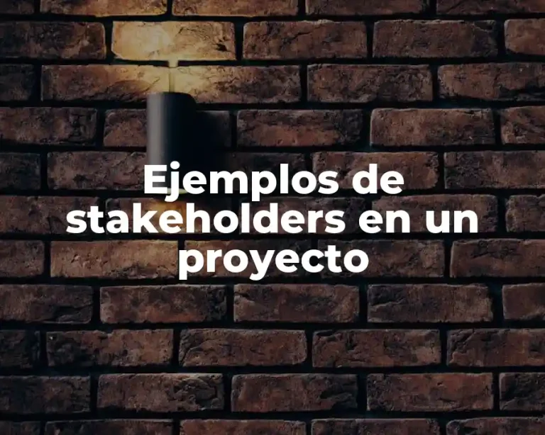 Ejemplos de stakeholders en un proyecto