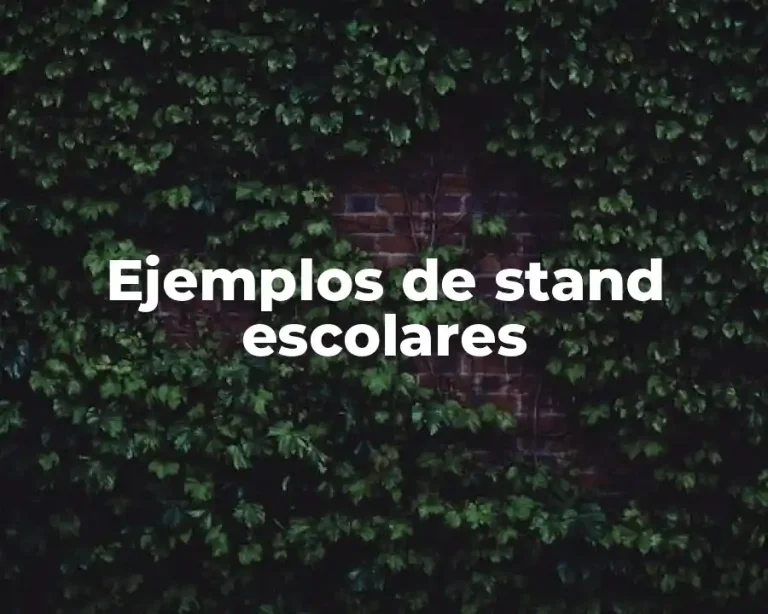 Ejemplos de stand escolares