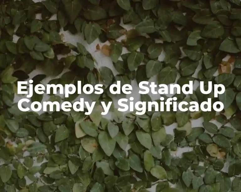Ejemplos de Stand Up Comedy y Significado