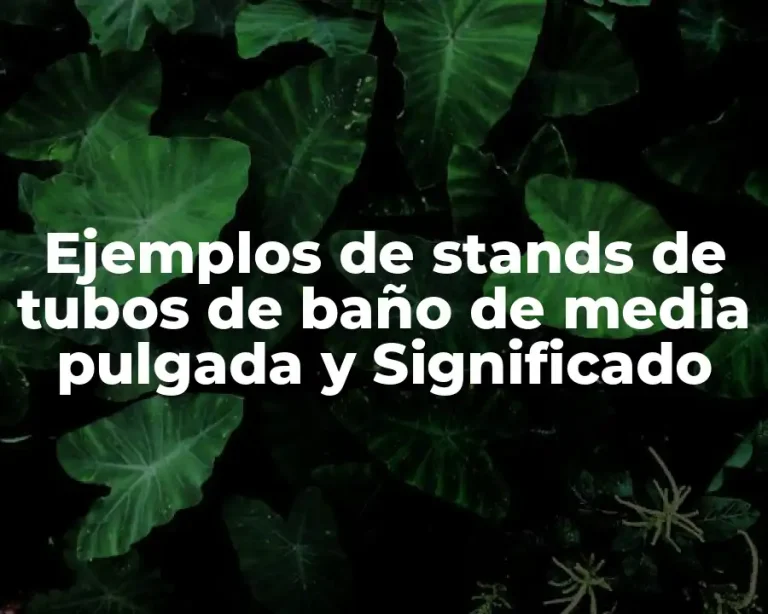 Ejemplos de stands de tubos de baño de media pulgada y Significado