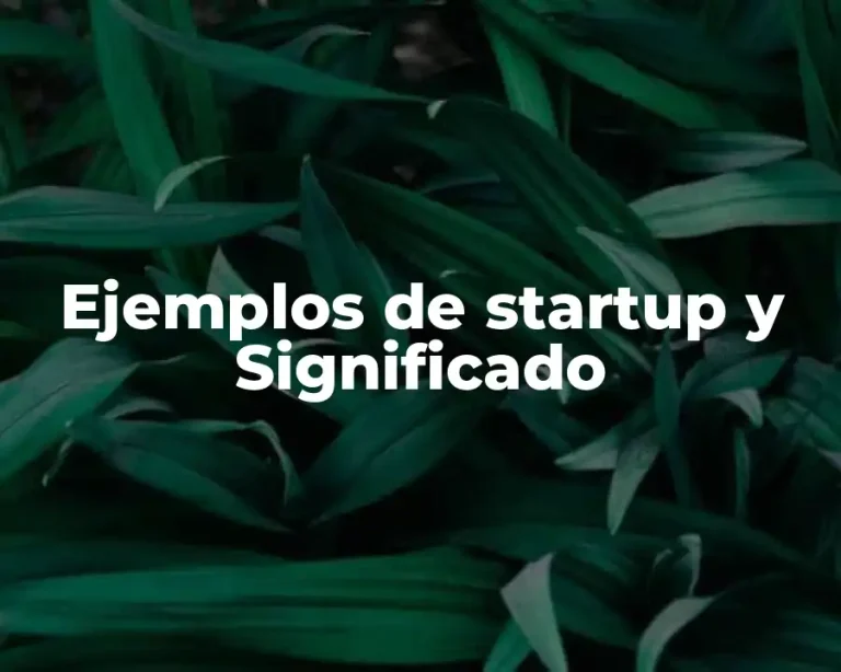 Ejemplos de startup y Significado