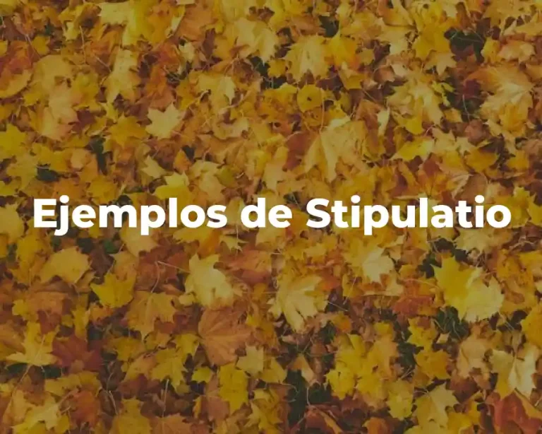 Ejemplos de Stipulatio