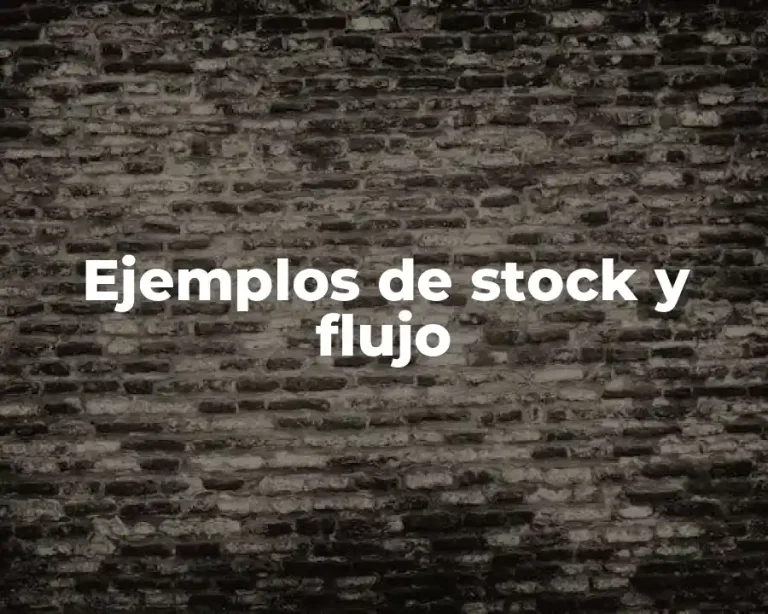 Ejemplos de stock y flujo
