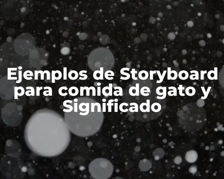 Ejemplos de Storyboard para comida de gato y Significado