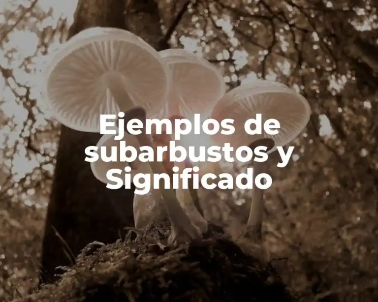 Ejemplos de subarbustos y Significado