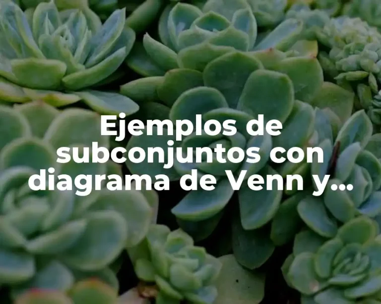 Ejemplos de subconjuntos con diagrama de Venn y Significado