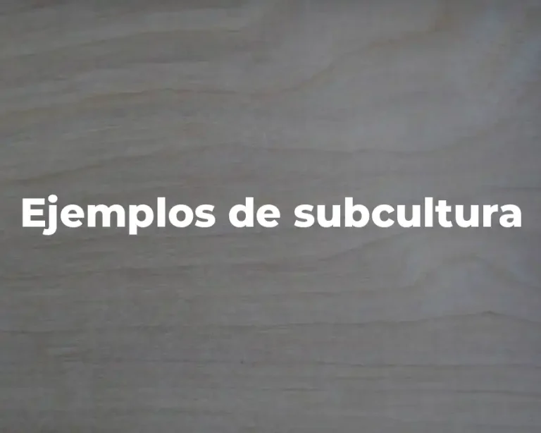 Ejemplos de subcultura