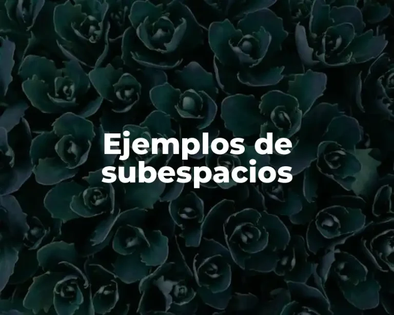 Ejemplos de subespacios