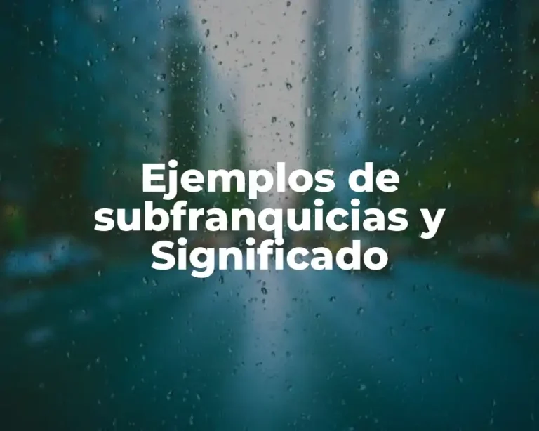 Ejemplos de subfranquicias y Significado