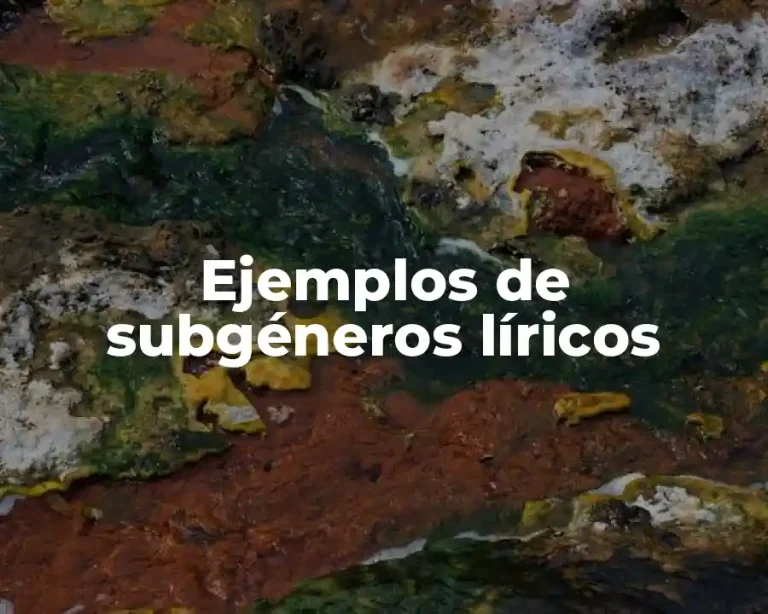 Ejemplos de subgéneros líricos