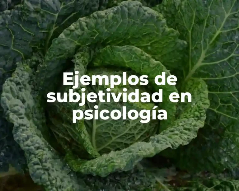 Ejemplos de subjetividad en psicología
