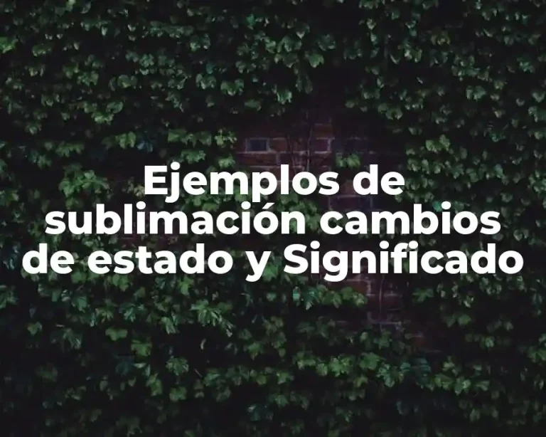 Ejemplos de sublimación cambios de estado y Significado